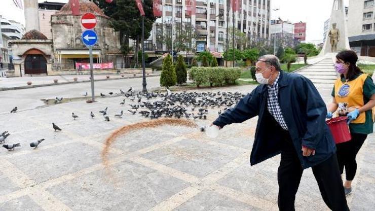 Seyhan Belediyesi güvercinleri de unutmadı