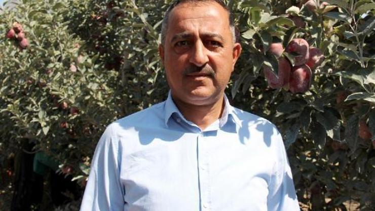 Elma ve armut üreticilerine karaleke uyarısı