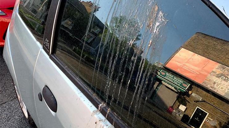 Kuş pisliğine sıra dışı koruma yöntemi
