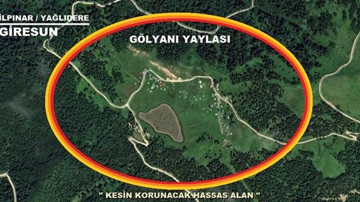 Gölyanı Yaylası “kesin korunacak hassas alan ilan edildi