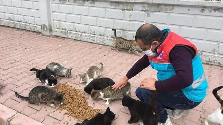 Kocasinan Belediyesi, sokak hayvanlarını unutmadı