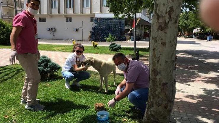 Nurdağında sokak hayvanları unutulmadı