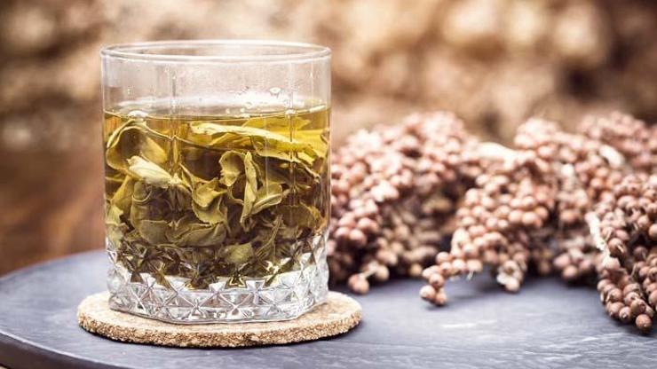 Virüsle savaşan aromatik bitkiler