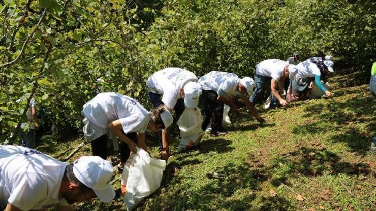 Çaydan sonra fındıkta işçi endişesi başladı