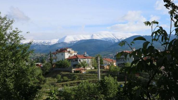 Ilgaz Dağı beyaza büründü