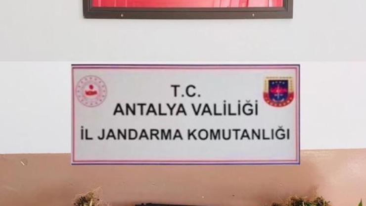 Jandarmadan uyuşturucu operasyonu