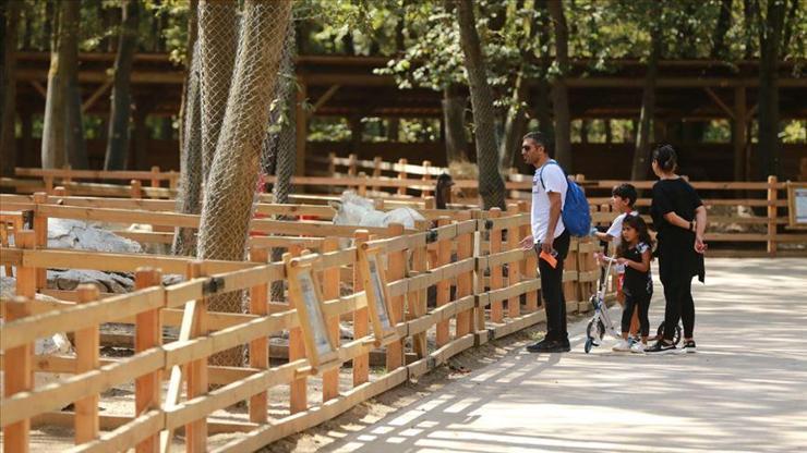 44 milli park, 249 tabiat parkı 1 Haziranda açılıyor