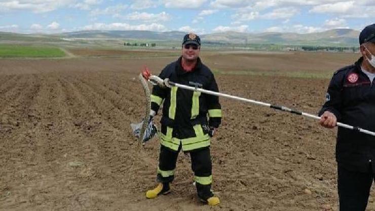 Traktörün motor bölümüne giren yılanı itfaiye çıkardı