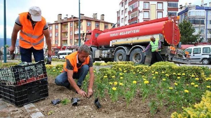 Tokat, çiçek bahçesine dönüşüyor