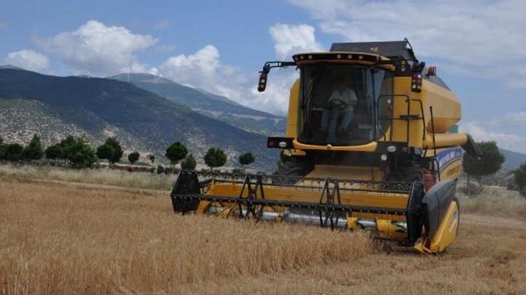 İslahiyede hububat hasadı başladı