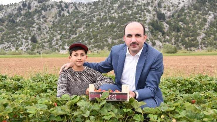 Konya Büyükşehir Belediye Başkanı Altay: İnsanımız üretecek biz destek olacağız