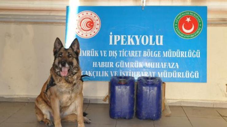 Habur Gümrük Kapısında 42,7 kilo uyuşturucu ele geçirildi