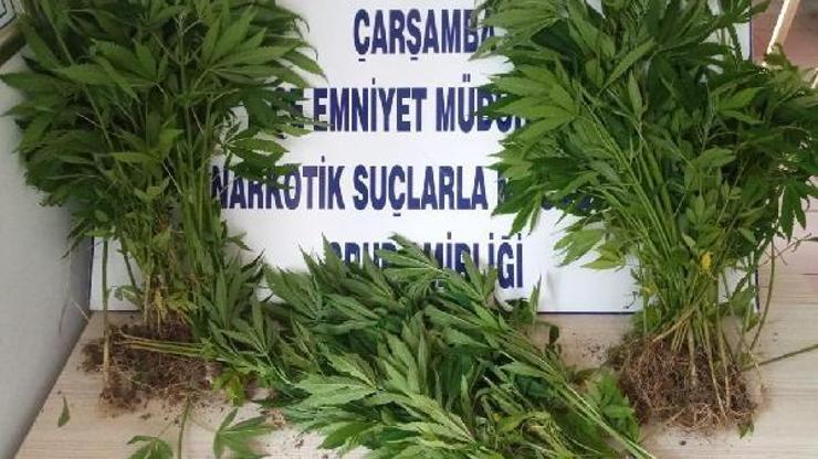 Uyuşturucu operasyonunda karı-koca gözaltında