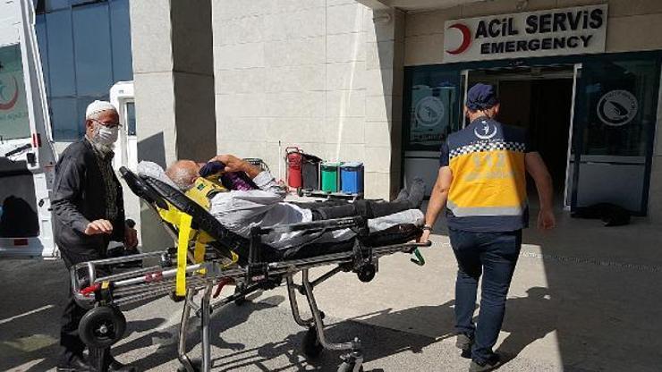 Son dakika... Kurbanlık koçla kafa tokuşturunca kemiklerini kırdı