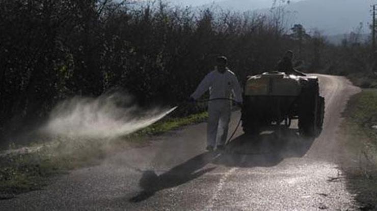 14 büyükbaşın öldüğü mera kapatıldı