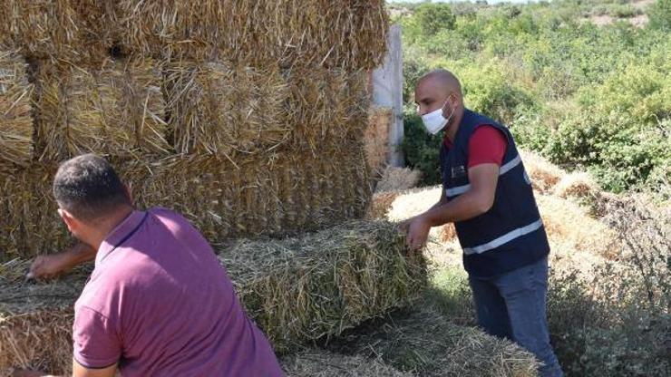 Balıkesir Büyükşehir Belediyesinden hayvan yetiştiricilerine yem desteği