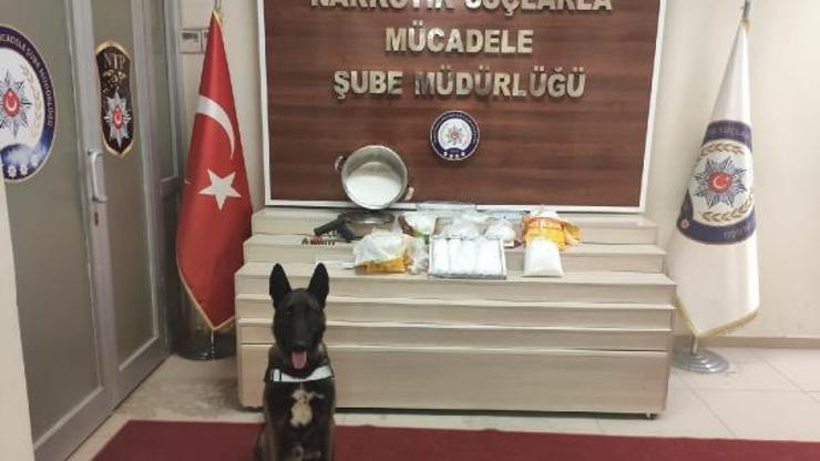 Kedi maması poşetlerine gizlenen uyuşturucuları Zeus buldu
