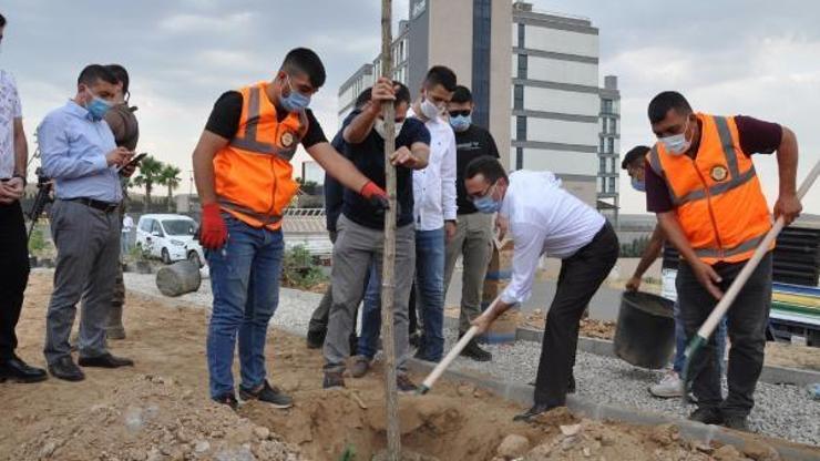Cizrede 15 Temmuz şehitler anısına fidan toprakla buluştu