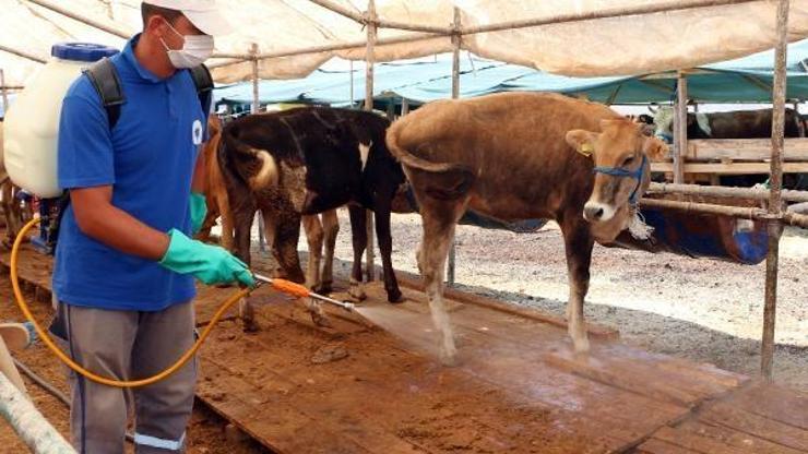Büyükşehir, kurban satış yerlerini dezenfekte ediyor