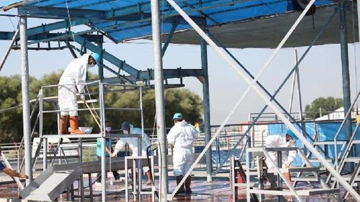 Kocasinan Belediyesi, Kurban Bayramı öncesi hazırlıklarını tamamladı