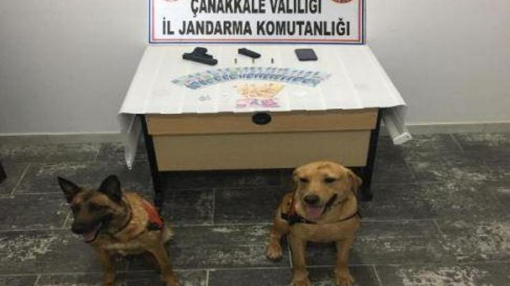 Afra ve Roket, kaçakçılara geçit vermedi