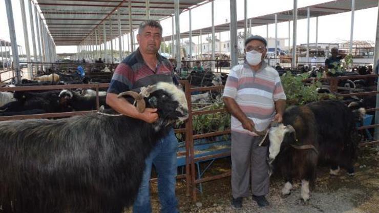 Serikte kurbanlık satışları sürüyor