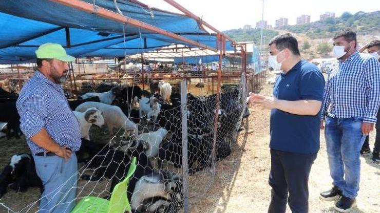 Tütüncü: Kepezin kurban pazarları bayrama hazır