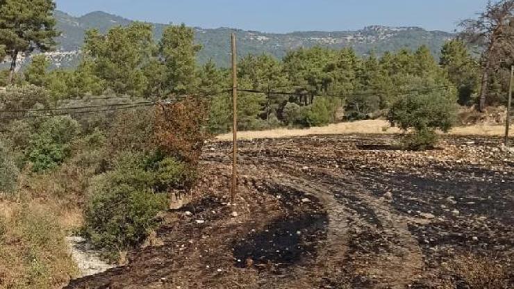 Arazi yangını ormana sıçramadan söndürüldü