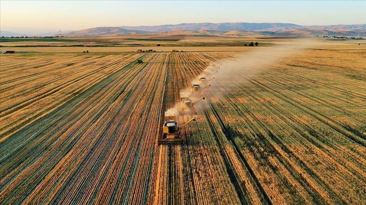Son dakika... Kırsal kalkınmaya 10,5 milyar liralık hibe desteği