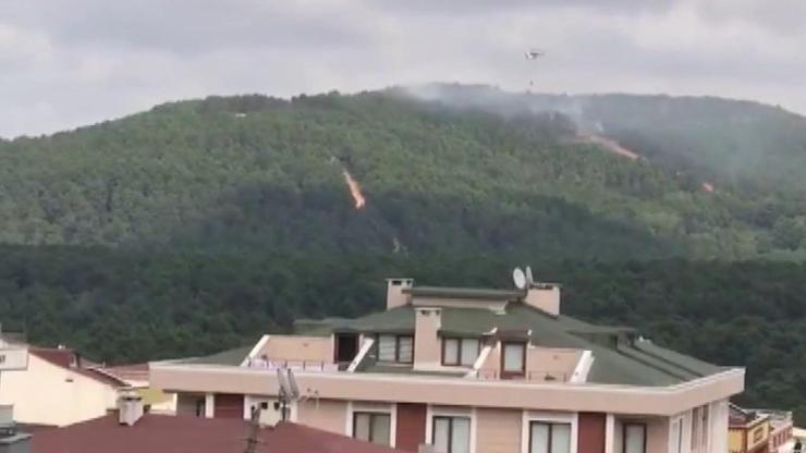 Son dakika... Kartal Aydos Ormanında yangın