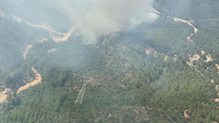 Son dakika... İzmirde çıkan orman yangını kontrol altına alındı