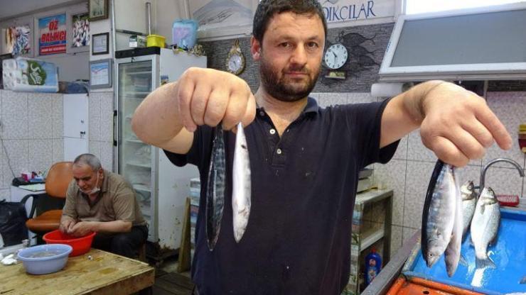 Son dakika... Tezgahlar çingene palamudu ile şenlendi