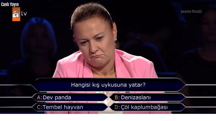 Hangisi kış uykusuna yatar Tembel hayvan nedir
