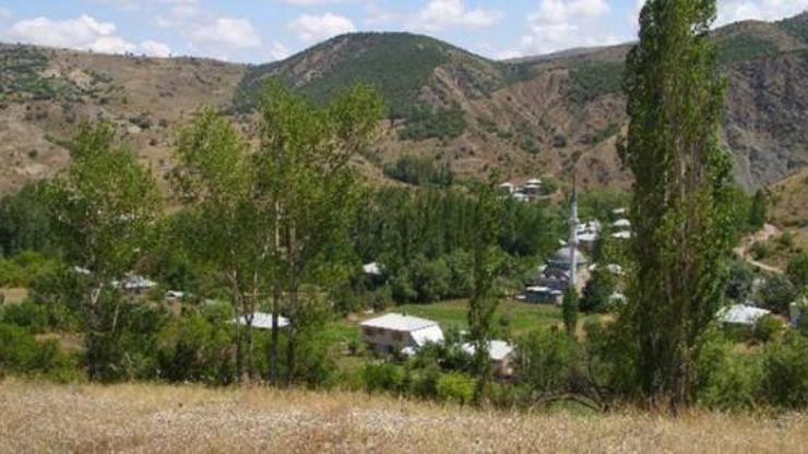 Gölovada ormanlık alanlarda mangal ve semaver yasaklandı