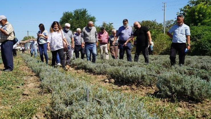 Balıkesir Büyükşehir Belediyesinden, lavanta bahçesine teknik gezi