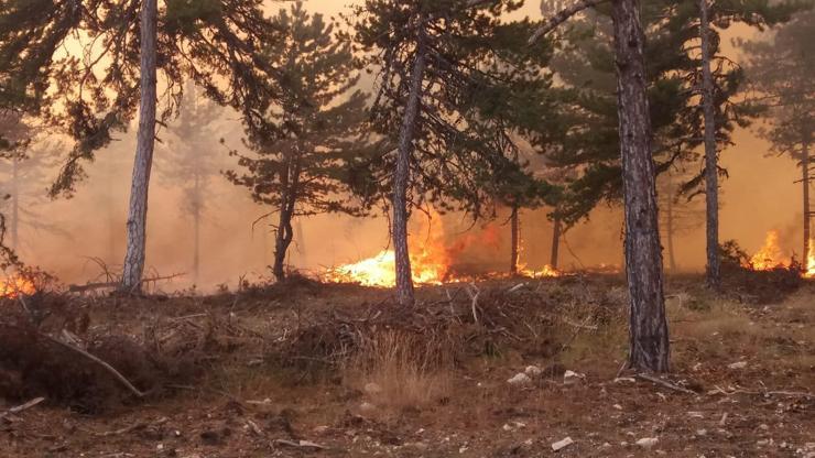 Ankarada orman yangını Helikopterle destek veriliyor