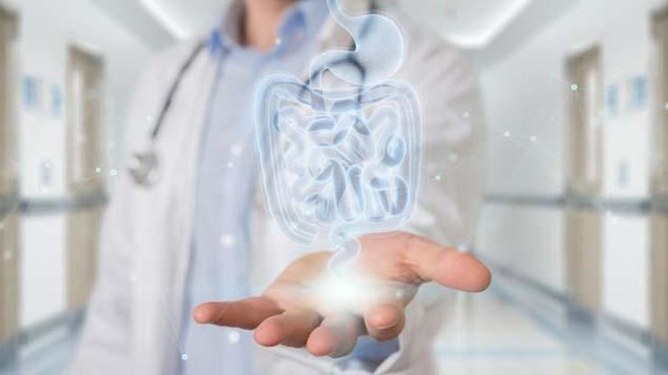 Ercp Nedir Ercp İşlemi Nasıl Yapılır Ercpde Hasta Uyutulur Mu