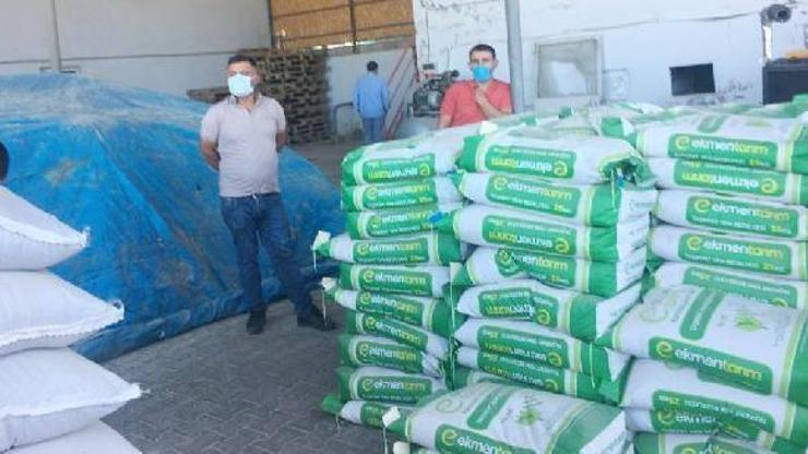 Karakoçanda çiftçiye tohum desteği