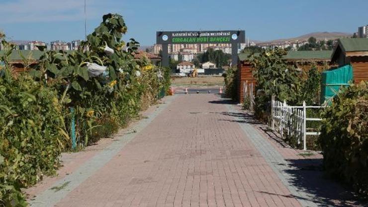 Kocasinan, 100 bin ağacı toprakla buluşturacak