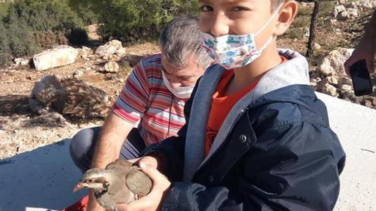 Doğaya keklik bırakıldı