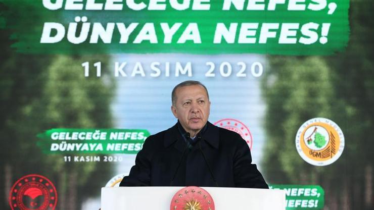 Son dakika... Cumhurbaşkanı Erdoğan, Milli Ağaçlandırma Gününe katıldı