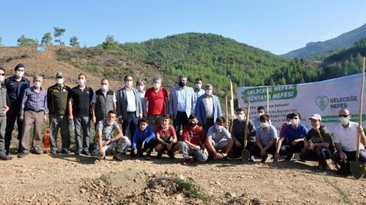 Gazipaşada fidanlar toprakla buluştu