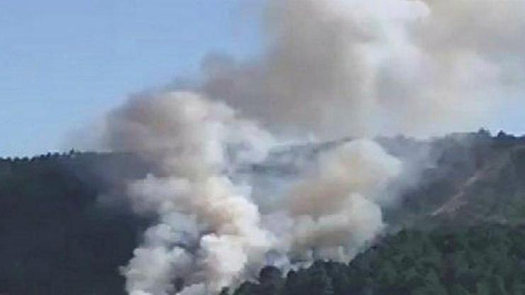 Son dakika... İstanbulda orman yangını