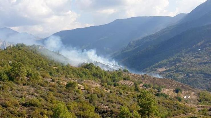 Özel ağaçlandırma sahasında yangın