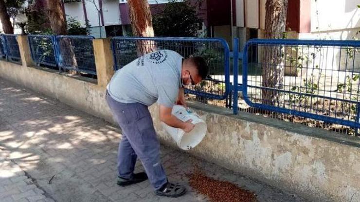 Süleymanpaşa Belediyesinden, kısıtlama öncesinde sokak hayvanlarına yiyecek desteği