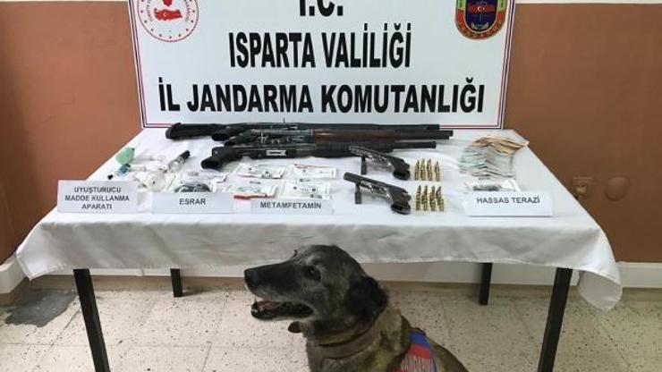 Ispartada uyuşturucu operasyonları