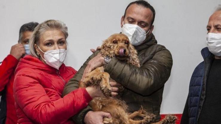 Kuyuya düşen Lucy, ailesine kavuştu
