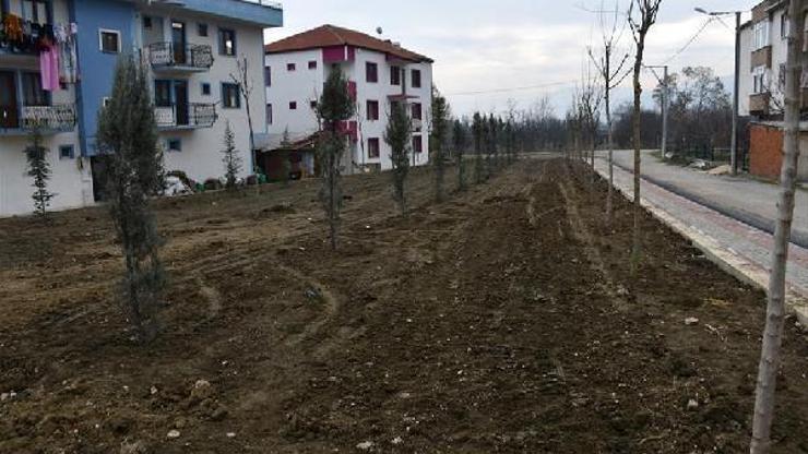 İnegöl Belediyesi sokağa çıkma kısıtlamalarında fidan dikiyor