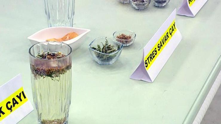 Stres ve mutsuzluğa bitkisel çözüm