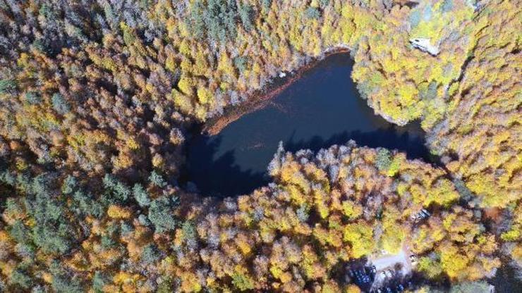 2020de Bolu ziyaretçi akınına uğradı
